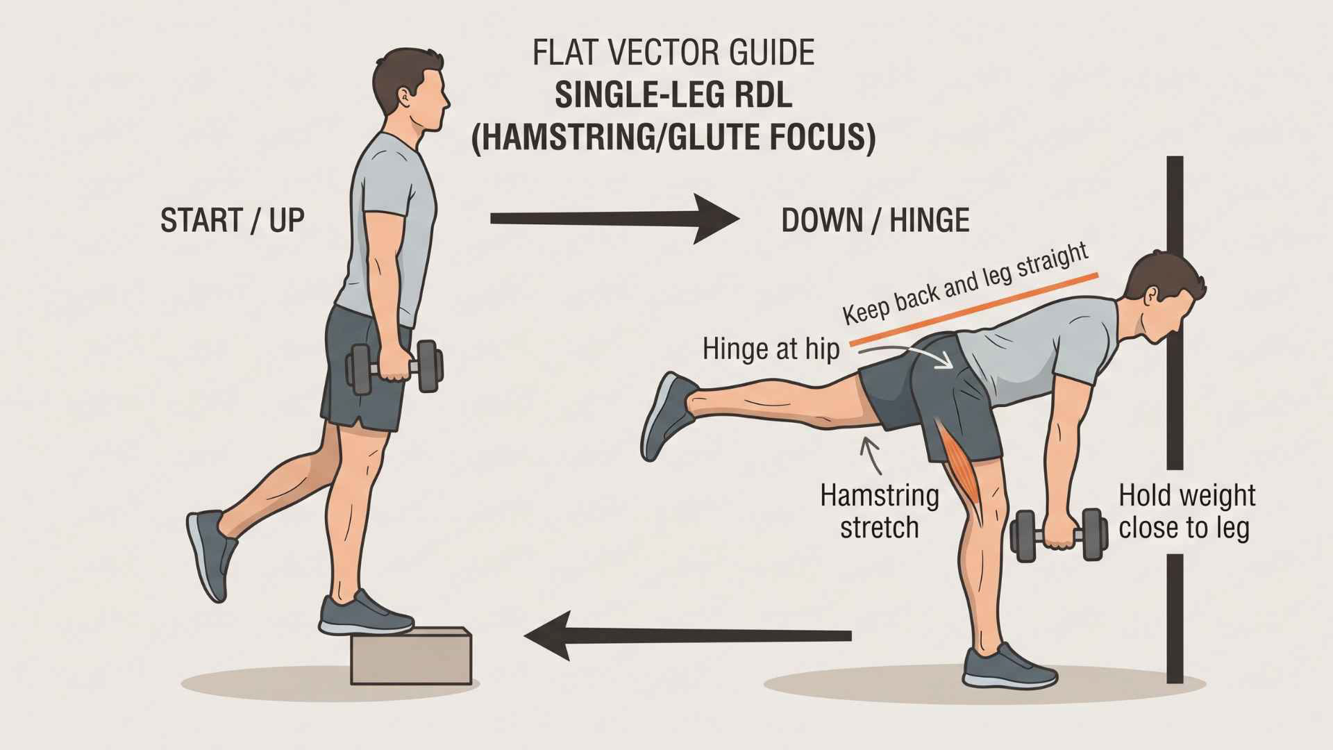 Strength and Singletrack: 5 Non-Negotiable Functional Exercises for ...